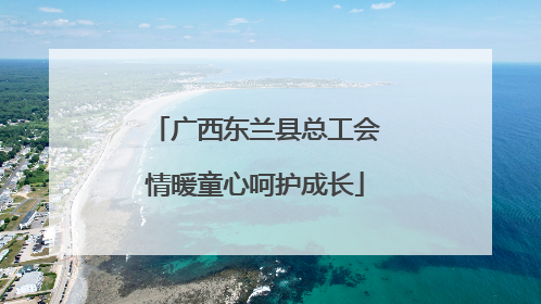 广西东兰县总工会情暖童心呵护成长