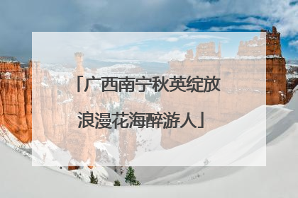 广西南宁秋英绽放 浪漫花海醉游人