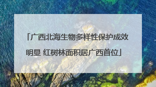 广西北海生物多样性保护成效明显 红树林面积居广西首位
