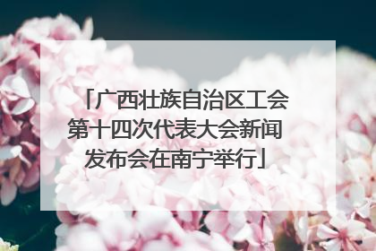 广西壮族自治区工会第十四次代表大会新闻发布会在南宁举行