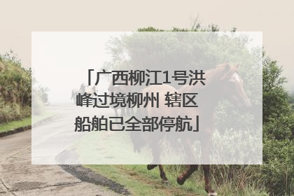 广西柳江1号洪峰过境柳州 辖区船舶已全部停航
