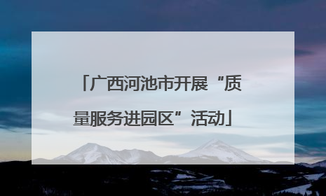 广西河池市开展“质量服务进园区”活动