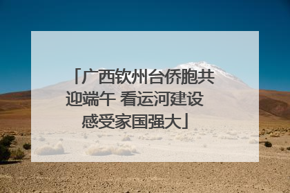 广西钦州台侨胞共迎端午 看运河建设感受家国强大