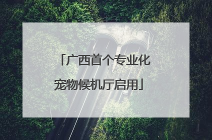 广西首个专业化宠物候机厅启用