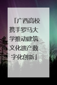 广西高校携手罗马大学推动建筑文化遗产数字化创新