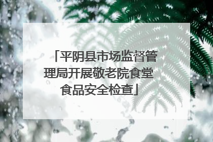 平阴县市场监督管理局开展敬老院食堂食品安全检查