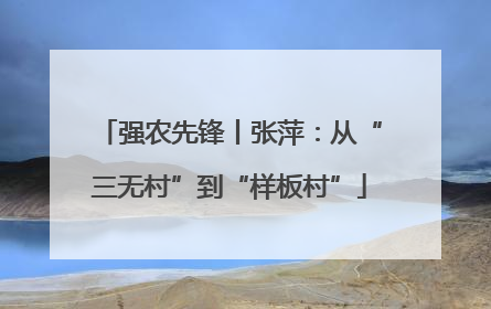 强农先锋丨张萍：从“三无村”到“样板村”