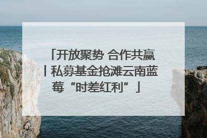 开放聚势 合作共赢丨私募基金抢滩云南蓝莓“时差红利”
