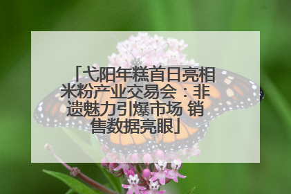 弋阳年糕首日亮相米粉产业交易会：非遗魅力引爆市场 销售数据亮眼