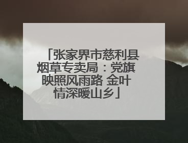 张家界市慈利县烟草专卖局：党旗映照风雨路 金叶情深暖山乡