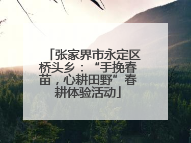 张家界市永定区桥头乡：“手挽春苗，心耕田野”春耕体验活动