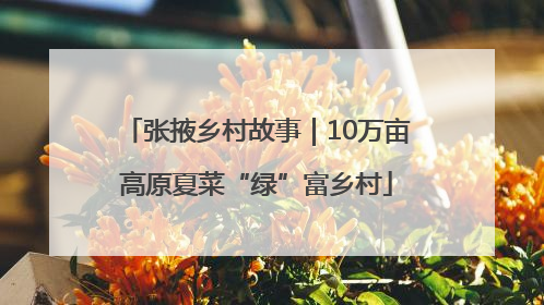 张掖乡村故事｜10万亩高原夏菜“绿”富乡村