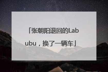 张朝阳退回的Labubu，换了一辆车
