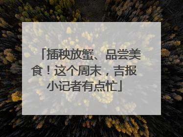 插秧放蟹、品尝美食！这个周末，吉报小记者有点忙