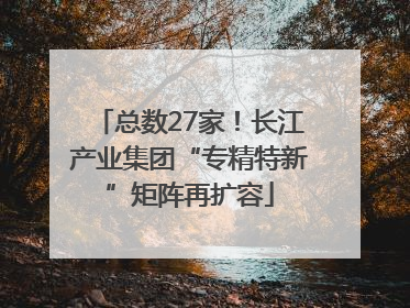 总数27家！长江产业集团“专精特新”矩阵再扩容
