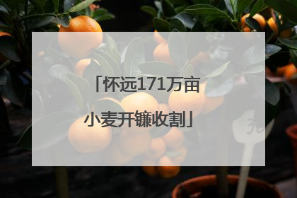 怀远171万亩小麦开镰收割