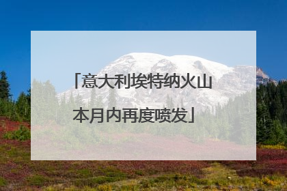 意大利埃特纳火山本月内再度喷发