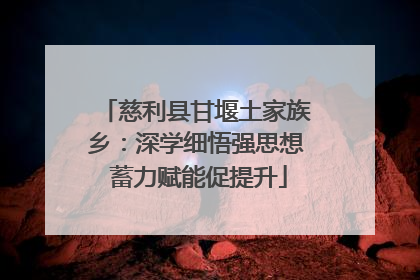 慈利县甘堰土家族乡：深学细悟强思想 蓄力赋能促提升