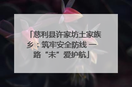 慈利县许家坊土家族乡：筑牢安全防线 一路“未”爱护航