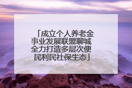 成立个人养老金事业发展联盟聊城全力打造多层次便民利民社保生态
