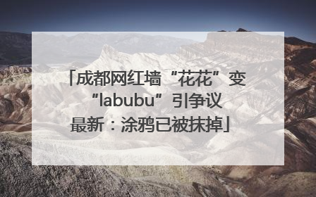 成都网红墙“花花”变“labubu”引争议 最新：涂鸦已被抹掉