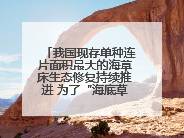 我国现存单种连片面积最大的海草床生态修复持续推进 为了“海底草原”更繁茂