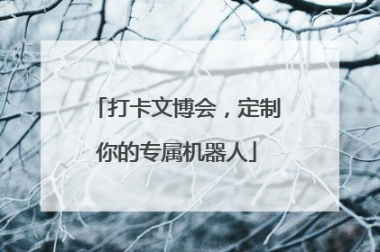 打卡文博会，定制你的专属机器人