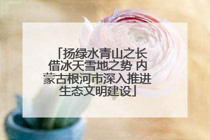 扬绿水青山之长 借冰天雪地之势 内蒙古根河市深入推进生态文明建设