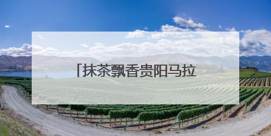抹茶飘香贵阳马拉松现场！贵茶以“抹茶能量”全程守护35000名跑者