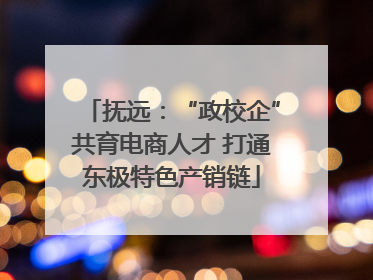 抚远：“政校企”共育电商人才 打通东极特色产销链