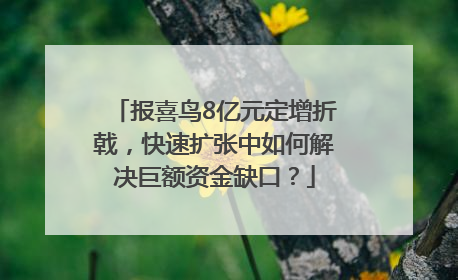 报喜鸟8亿元定增折戟，快速扩张中如何解决巨额资金缺口？