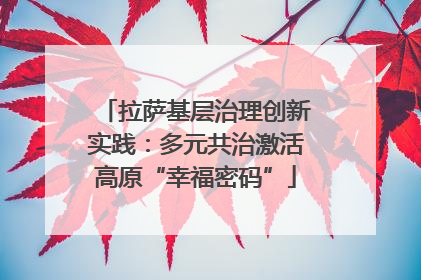 拉萨基层治理创新实践：多元共治激活高原“幸福密码”