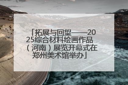 拓展与回望——2025综合材料绘画作品（河南）展览开幕式在郑州美术馆举办