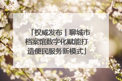 权威发布｜聊城市档案馆数字化赋能打造便民服务新模式