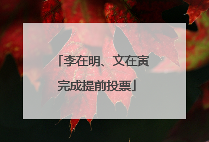 李在明、文在寅完成提前投票