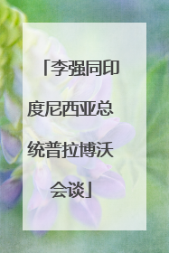 李强同印度尼西亚总统普拉博沃会谈