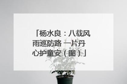 杨水良：八载风雨巡防路 一片丹心护童安（图）