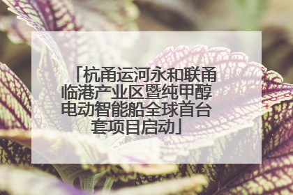 杭甬运河永和联甬临港产业区暨纯甲醇电动智能船全球首台套项目启动