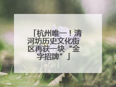 杭州唯一！清河坊历史文化街区再获一块“金字招牌”