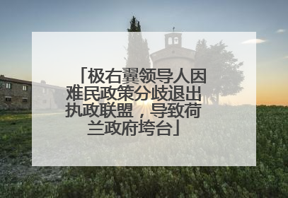 极右翼领导人因难民政策分歧退出执政联盟，导致荷兰政府垮台