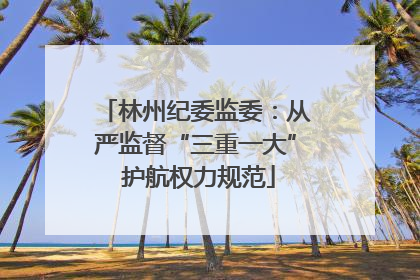 林州纪委监委：从严监督“三重一大” 护航权力规范