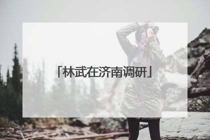林武在济南调研