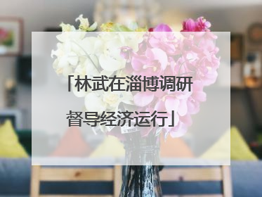 林武在淄博调研督导经济运行