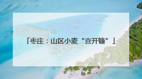 枣庄：山区小麦“喜开镰”
