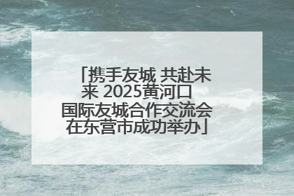 携手友城 共赴未来 2025黄河口国际友城合作交流会在东营市成功举办