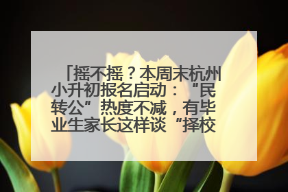 摇不摇？本周末杭州小升初报名启动：“民转公”热度不减，有毕业生家长这样谈“择校真相”……