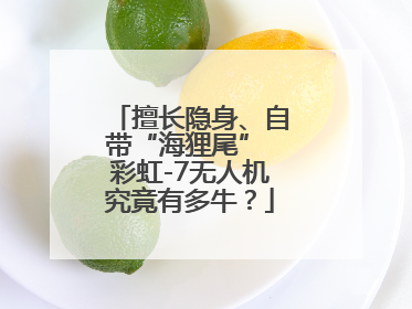 擅长隐身、自带“海狸尾” 彩虹-7无人机究竟有多牛？