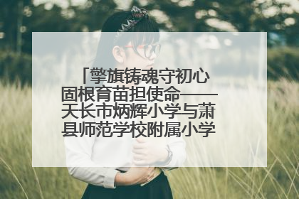 擎旗铸魂守初心 固根育苗担使命——天长市炳辉小学与萧县师范学校附属小学结对共建活动纪实