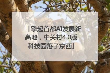 擎起首都AI发展新高地，中关村4.0版科技园落子京西