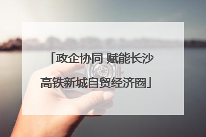 政企协同 赋能长沙高铁新城自贸经济圈